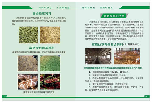富硒蛋白草种植用于富硒养殖选用禾福元牧草产品的优势与特点